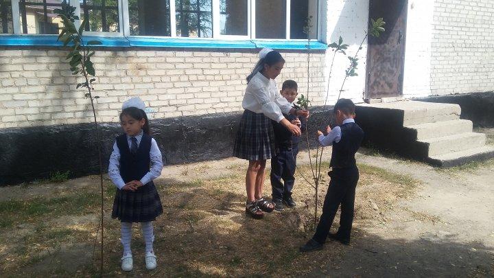 Абай атындағы орта мектебі